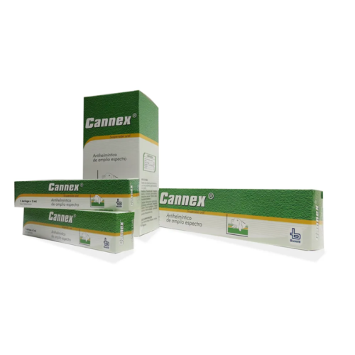 precio cannex adultos