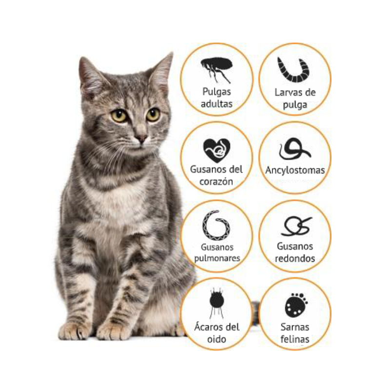 ADVOCATE para Gatos – Antiparasitario de Amplio Espectro