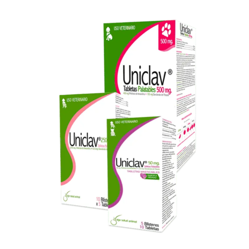UNICLAV® TABLETAS – Antibiótico de Amplio Espectro para Perros y Gatos