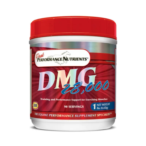 precio dmg 28000 para equinos deporte
