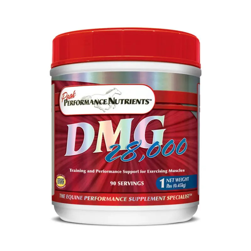precio dmg 28000 para equinos deporte
