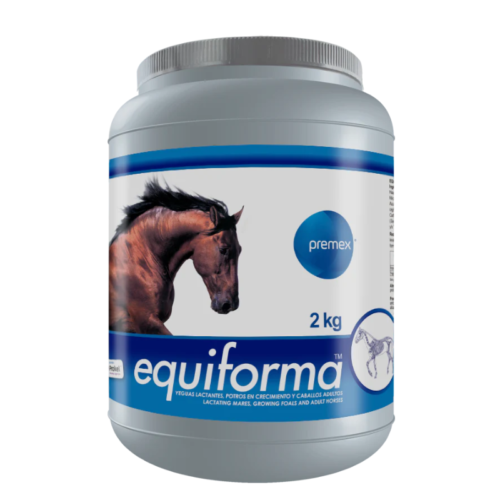 precio equiforma para caballos