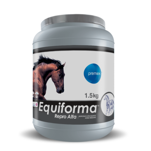 precio equiforma repro alfa caballos