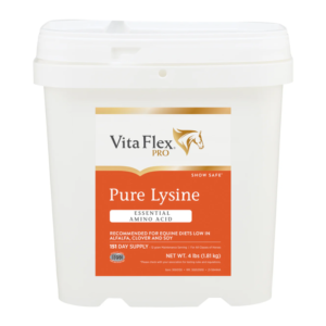 precio pure lisina para potros