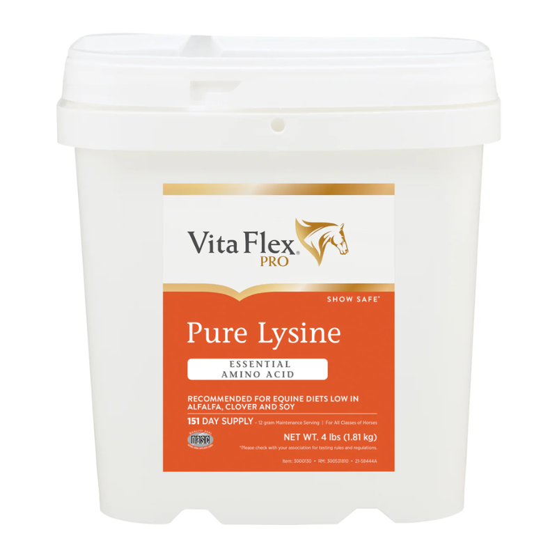 precio pure lisina para potros